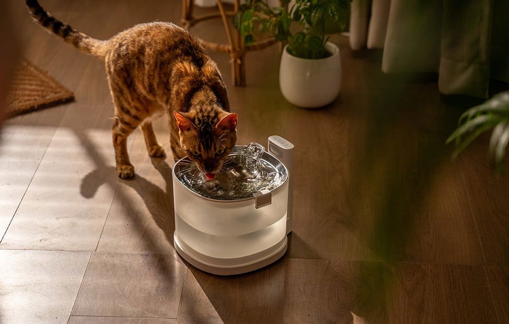 Cheerble E1+ smart dog and cat fountain/drinker