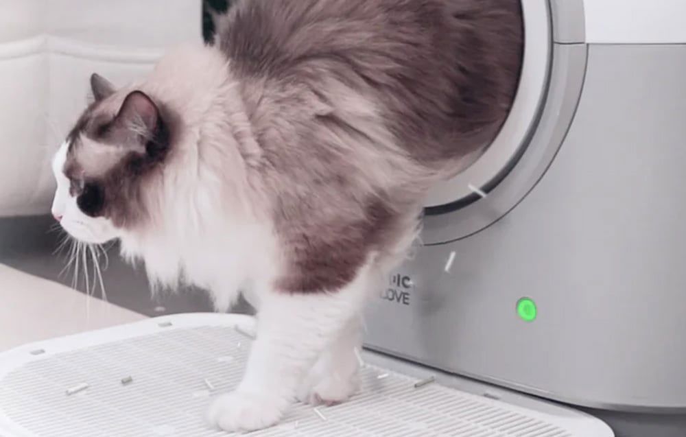 Intelligent self-cleaning cat litter box PRO HHOLove CL-TYW