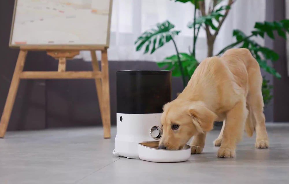 Automatic Pet Feeder with plastic bowl Dogness (white)