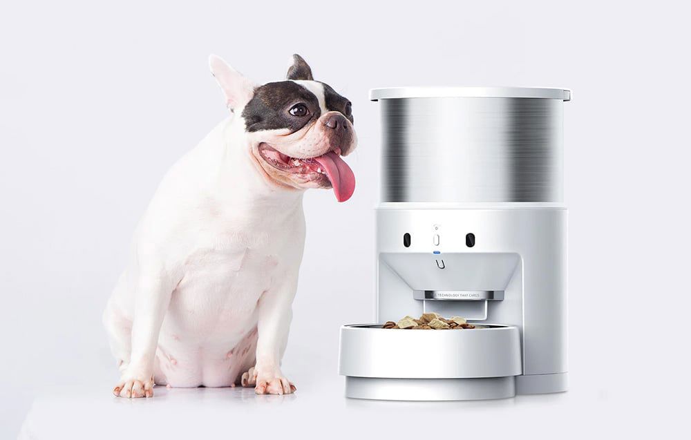 Fresh element 3 Petkit 5L smart food dispenser