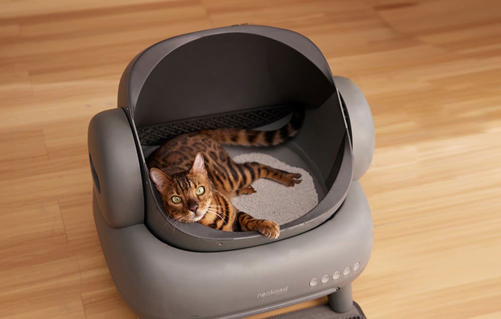 Neakasa M1 intelligent self-cleaning cat litter box