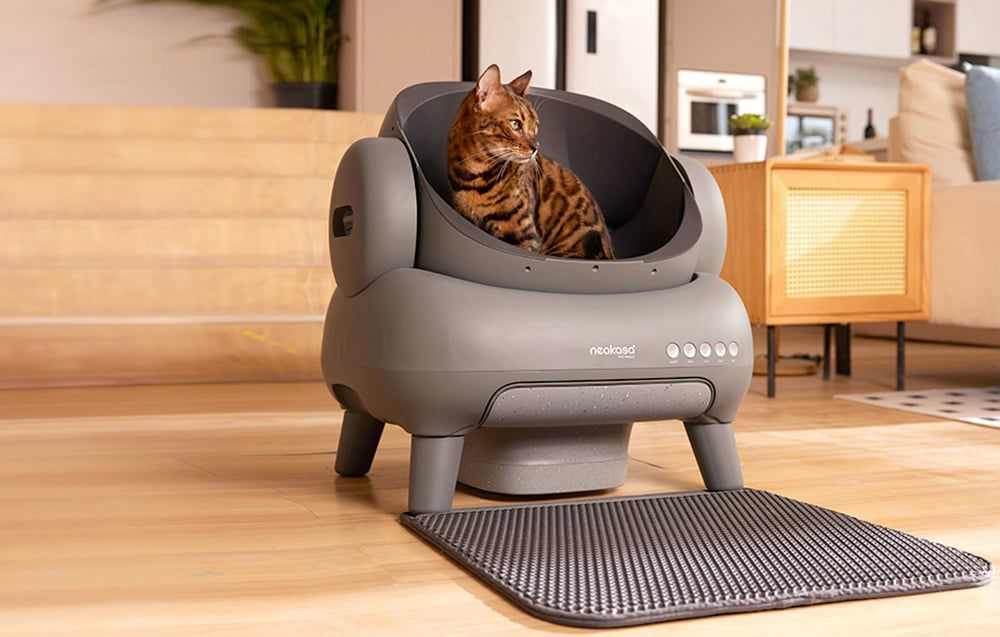 Neakasa M1 intelligent self-cleaning cat litter box