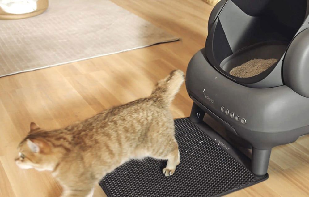 Neakasa M1 intelligent self-cleaning cat litter box