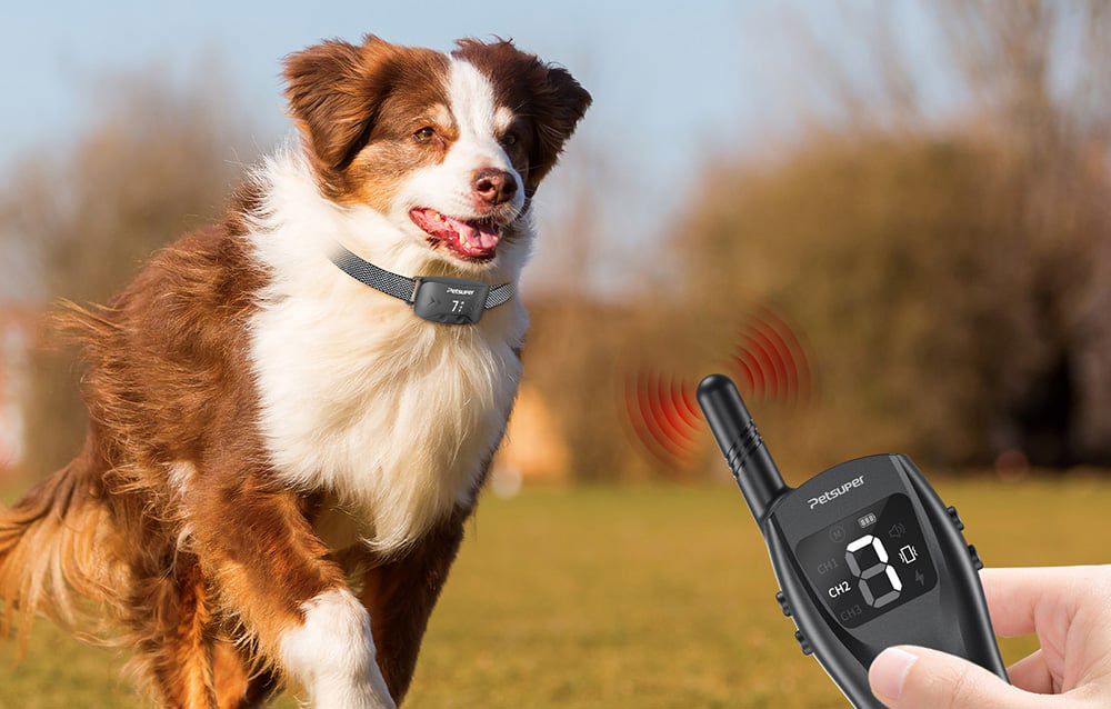 Anti Bark Training Collar with remote control for Dogs Petsuper PA02